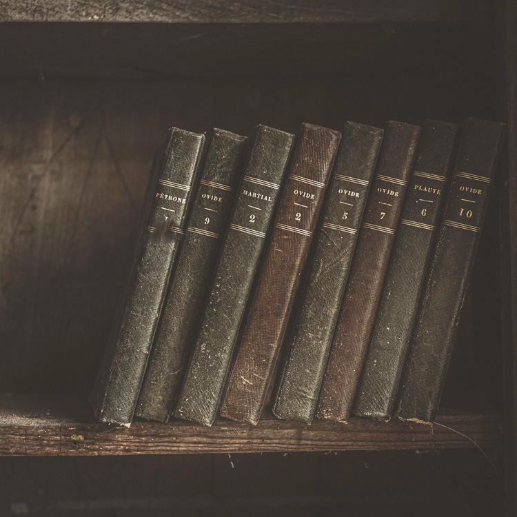 F chateau des mages 4030372_quadrat