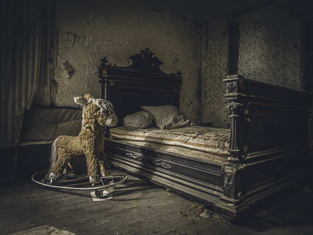 F maison du chien 120176